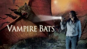 Vampire Bats — foto 1