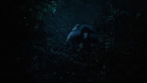 Pulau Hantu — foto 3
