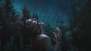 Nightsiren — foto 1