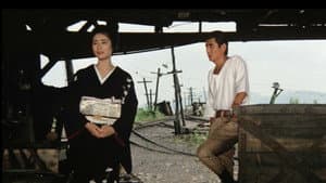 日本女侠伝  侠客芸者 — foto 2