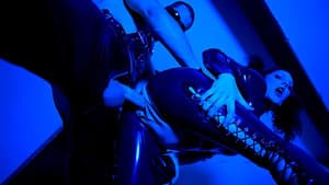 Rubbercats — foto 9