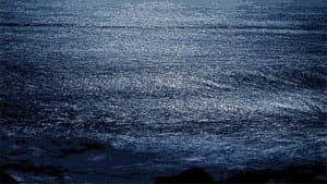 We Put the World to Sleep — foto 5