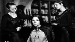 Dary magów — foto 1