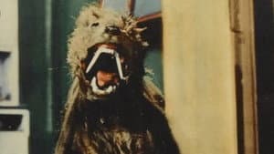 The Killer Shrews — foto 4