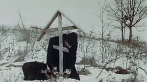 Опознание — foto 1