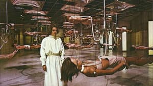 Coma — foto 2
