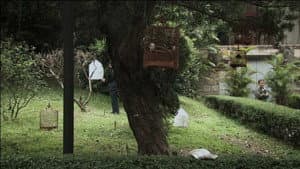 A Última Vez Que Vi Macau — foto 3