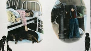 Trouble — foto 1