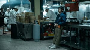 老狐狸 — foto 12
