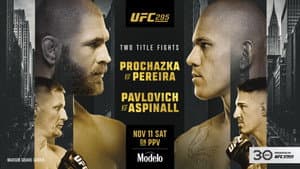 UFC 295: Prochazka vs. Pereira — foto 3