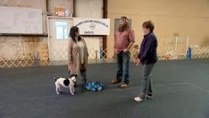 Episodio 9