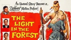 The Light in the Forest — foto 7
