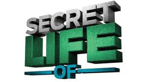 The Secret Life of... — foto 1