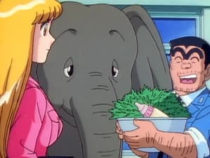 Episodio 14