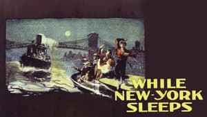While New York Sleeps — foto 3