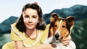 El valor de Lassie — foto 3