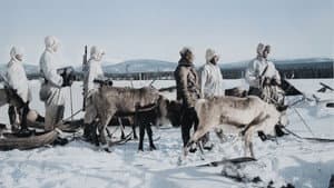 Vaietut arktiset sodat — foto 1