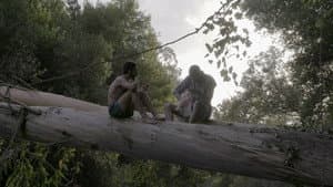 Para Norte — foto 1