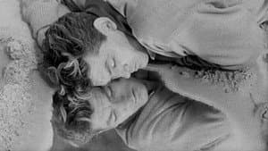 Orphée — foto 8