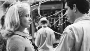 Jacques Demy, le rose et le noir — foto 9