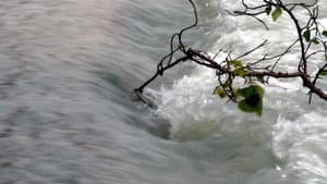 Il Fiume, A Ritroso — foto 1