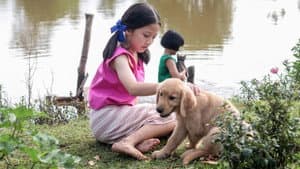 มานี มานะ มิตรภาพ ระหว่างเพื่อน — foto 1