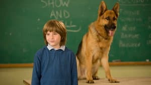 Cool Dog — foto 3