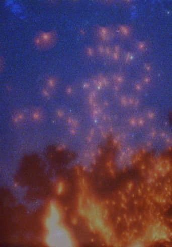Photuris