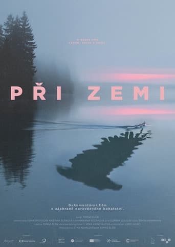 Při zemi