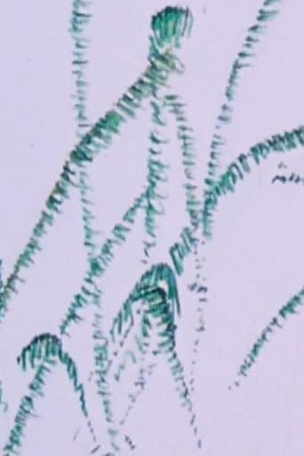 How the Frog’s Eye Sees