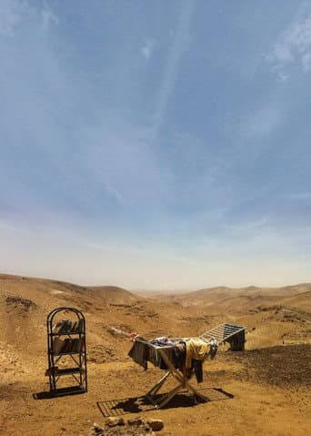 קיץ בערד