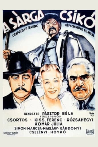 Sárga csikó