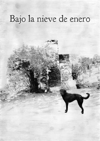 Bajo la nieve de enero