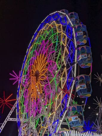 The Fair