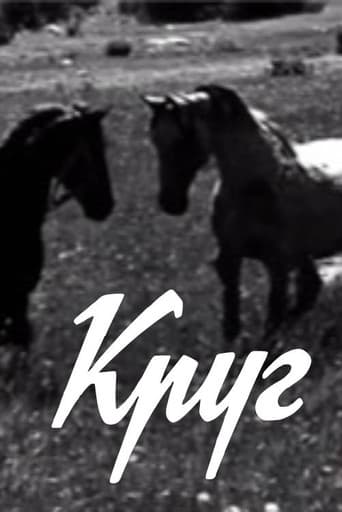 Круг
