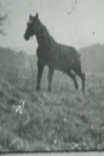 Golan