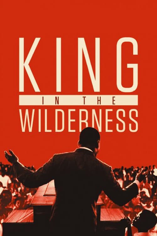 La Lucha Pacífica De Martin Luther King