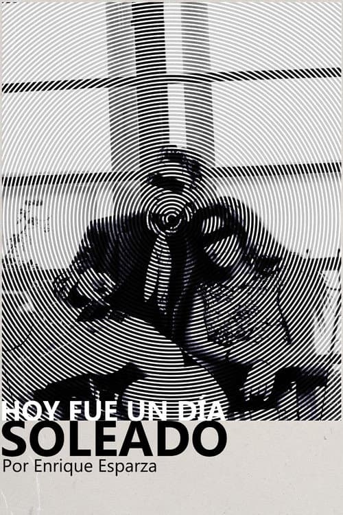 Hoy Fue Un Día Soleado