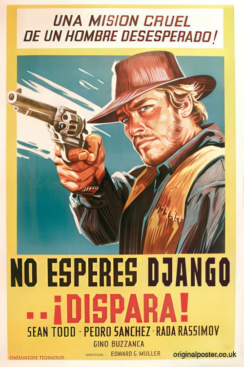 Non aspettare Django, spara