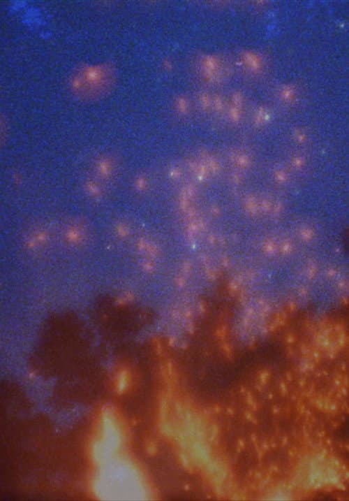Photuris