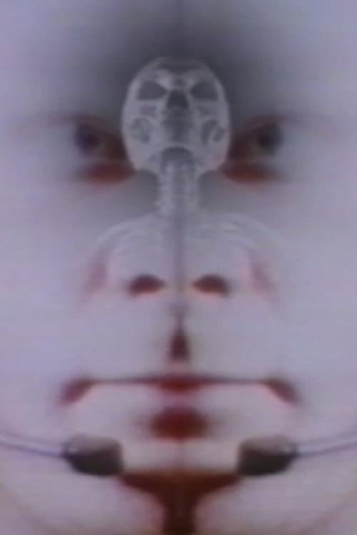 Deux Fois L'Univers