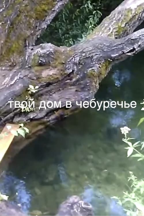 твой дом в Чебуречье