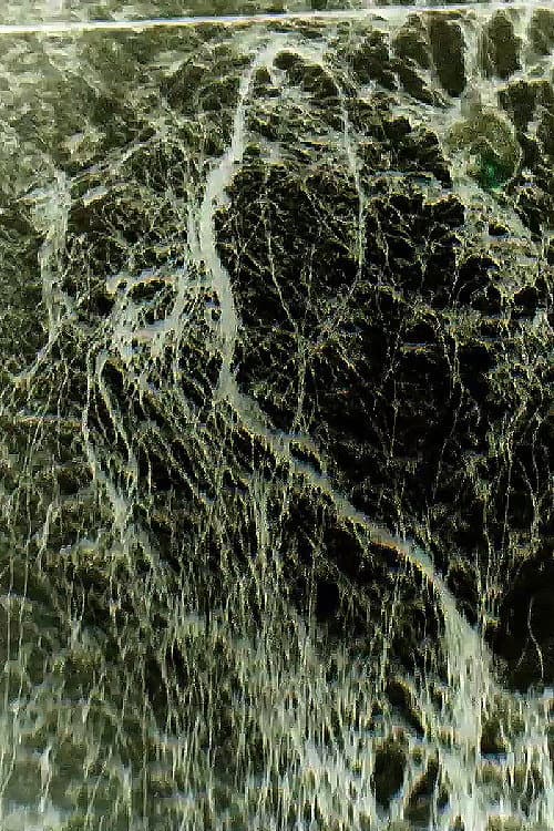 CLEARFILM
