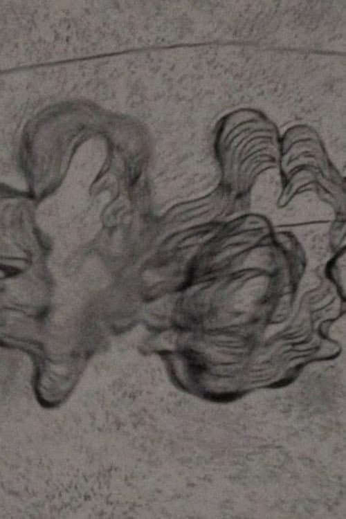 In a Mere Metamorphosis
