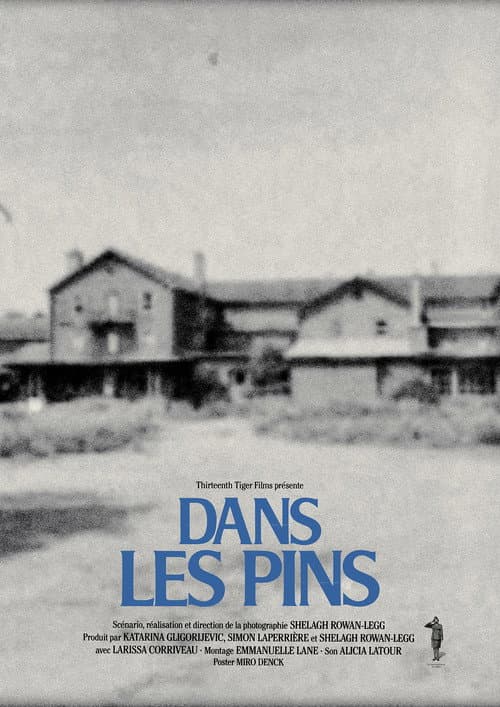 Dans les pins