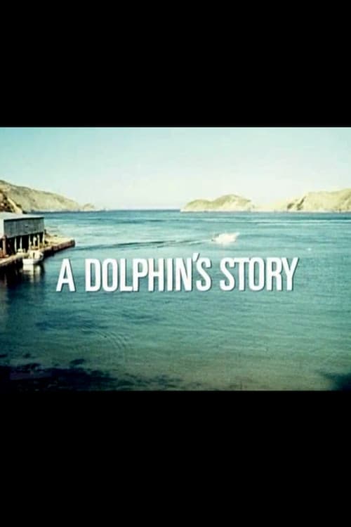 A Dolphin's Story