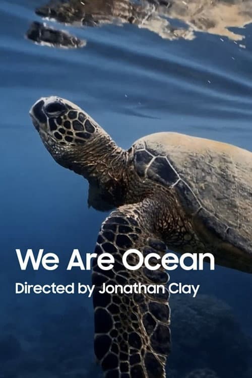 We Are Ocean
