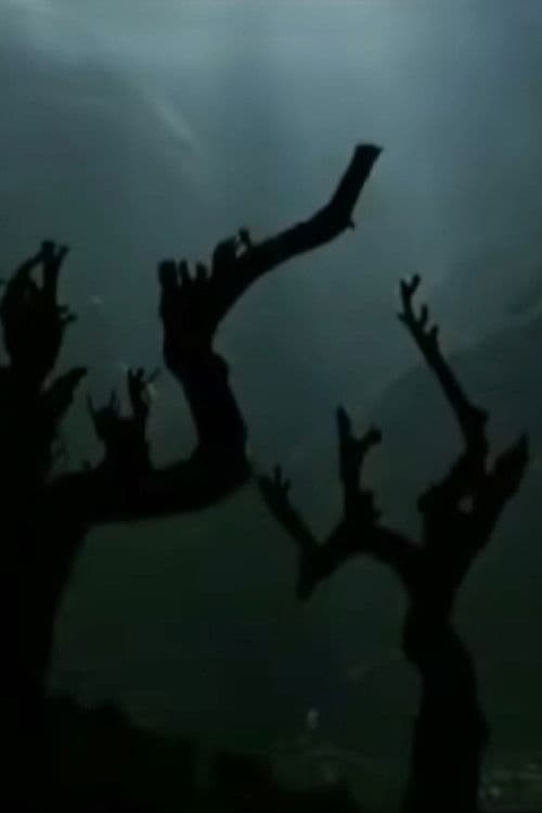 怒族一家人
