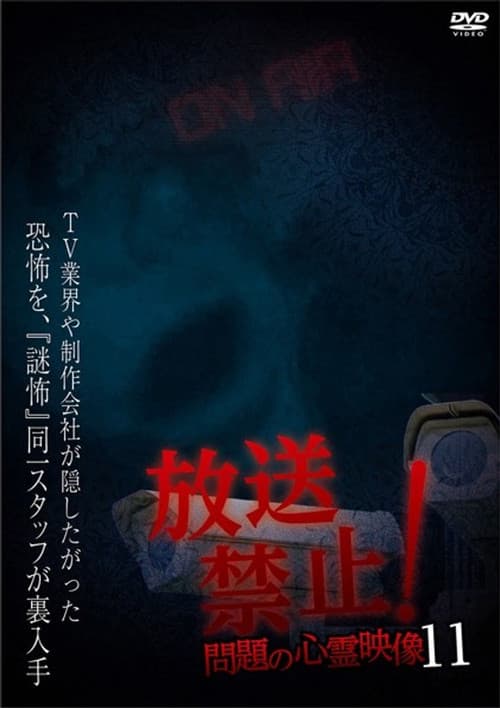 放送禁止！問題の心霊映像 11
