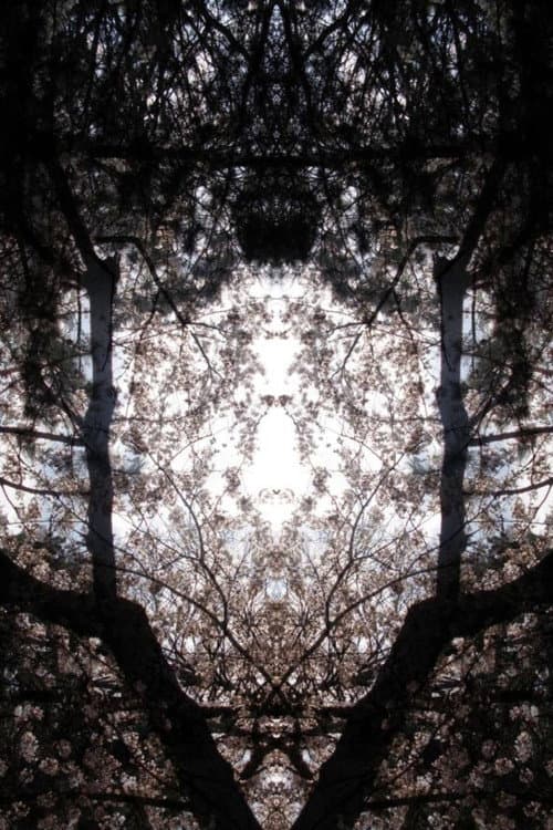 Concrescence